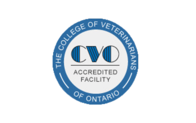 CVO Logo