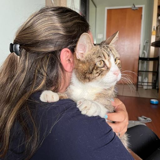 a woman holding a cat in her arms