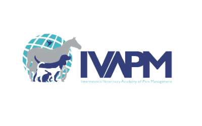 ivapm Logo