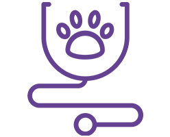 veterinary care icon