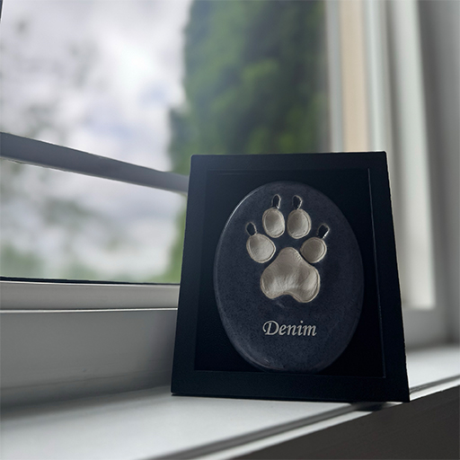 A framed paw print impression labeled Denim rests on a window sill