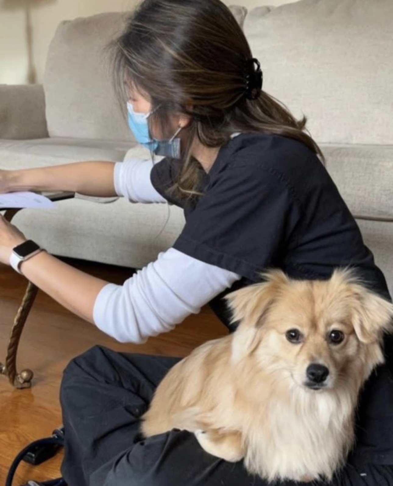 Screenshot A cat sitting on a person's lap