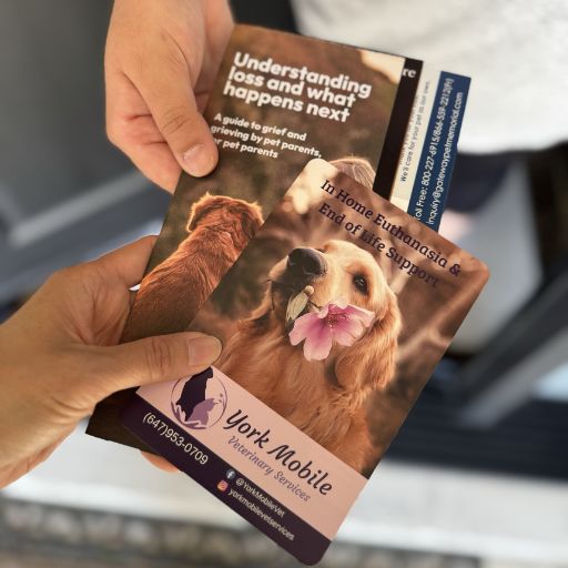 Close-up of two people exchanging pet end-of-life care and grief support brochures