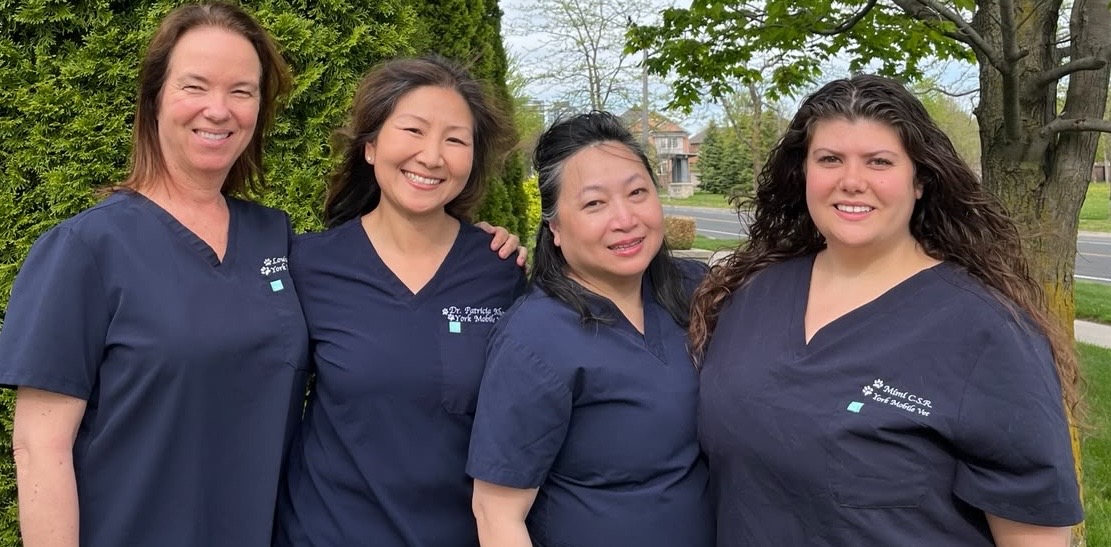 group of staff