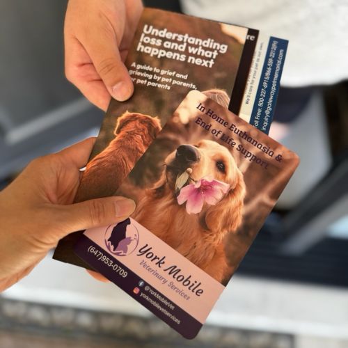 grief support brochures Close-up of two people exchanging pet end-of-life care and grief support brochures